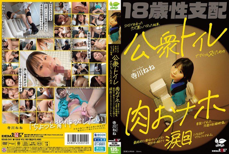 SDAB-341 18岁清纯女学生被社交渣男调教成公厕便器 厕所隔间沦为泄欲肉便器实录